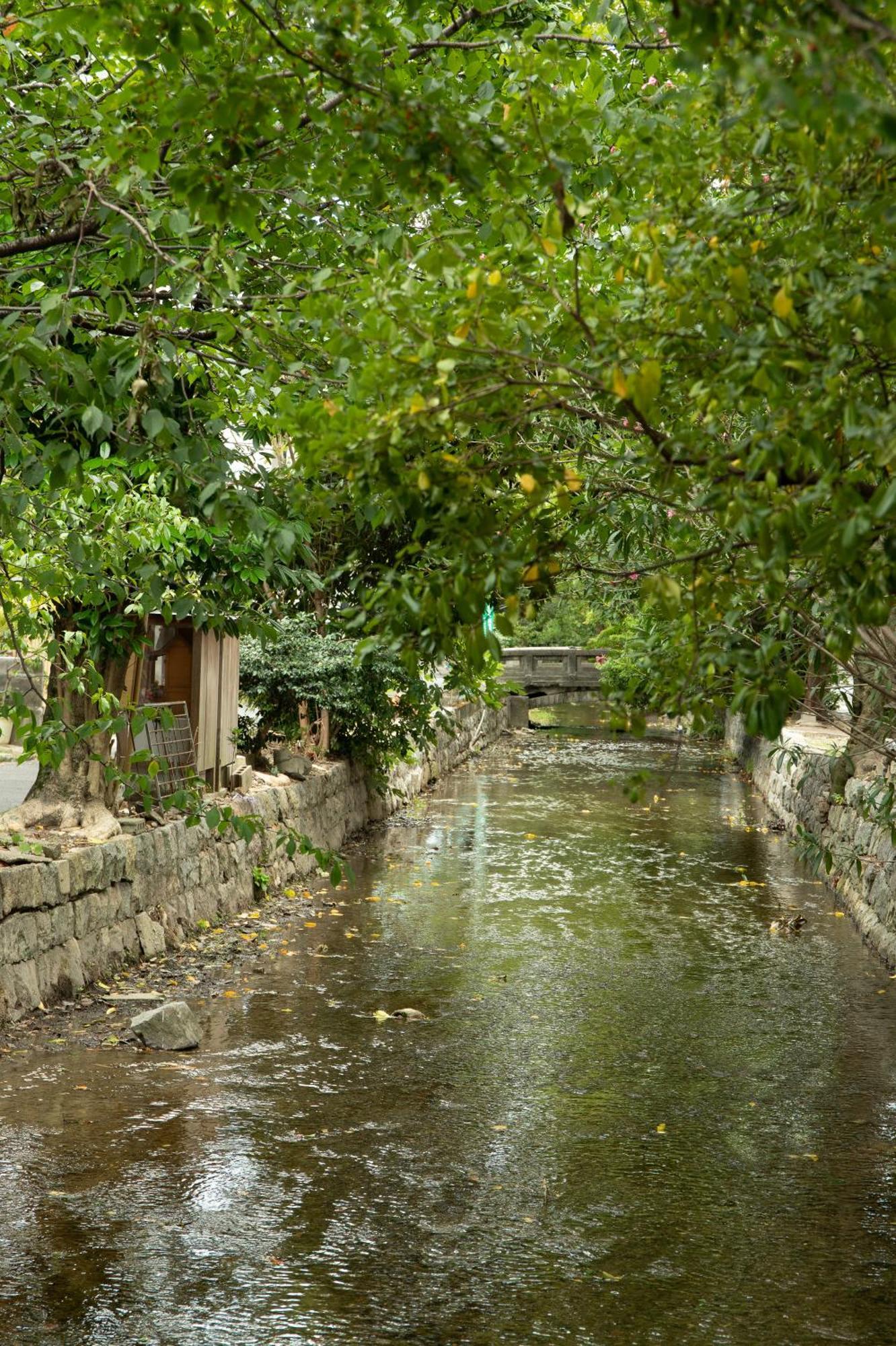 初音 Lägenhet Kyoto Exteriör bild